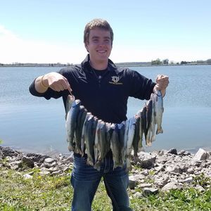 Meet your Posher, Austin